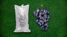 水果袋中袋  葡萄運輸防震充氣袋